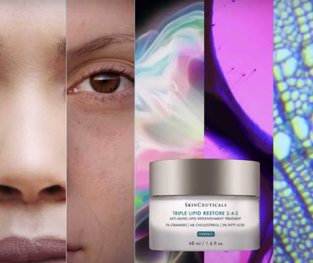 Professional Network